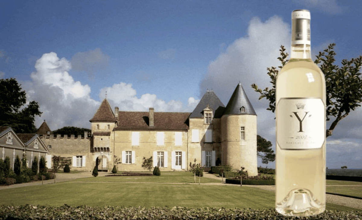 Only 6 Bts, Top Vintage, 2010 Château d'Yquem Y' Ygrec – Burgundy Cave