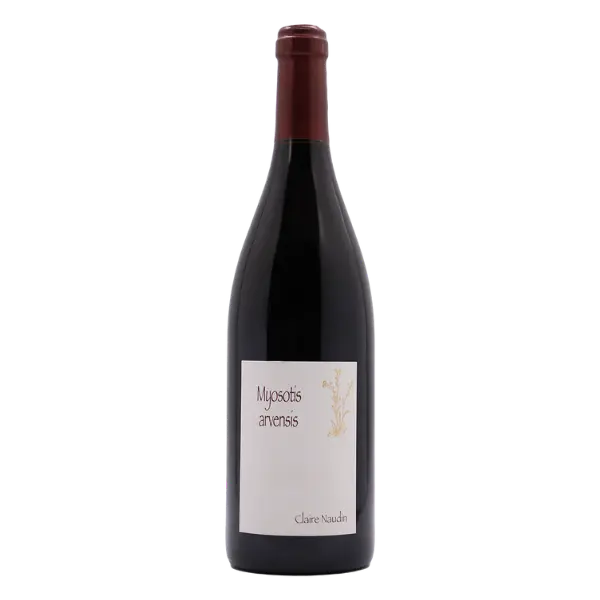 Naudin-Ferrand Bourgogne Hautes Cotes de Nuits Myosotis Arvenis 2022 (1*75cl)