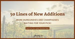 Our Latest Stocklist | 50 lines of New Additions with Excellent Value of Burgundies and Champagnes!