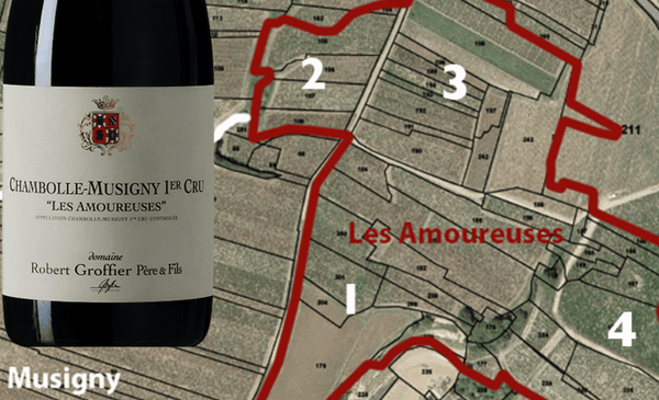 ❤️Amoureuses from Robert Groffier, Just 1pts below Georges de Vogüé