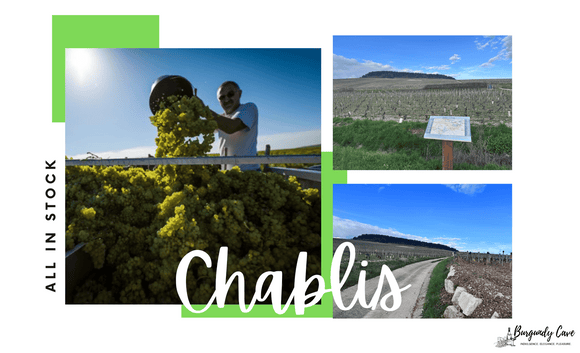 Chablis Selection from 1998 to 2018 including Raveneau, Dauvissat, Billaud Samuel and etc