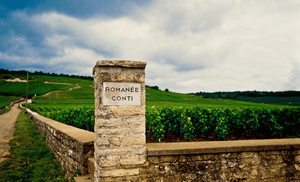 👑Latest DRC Availabilities from Burgundy Cave