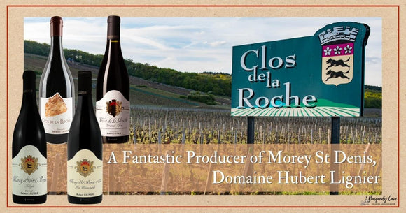 In High Demand! A Fantastic Producer of Morey St Denis, Domaine Hubert Lignier