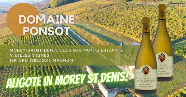Aligote in Morey St Denis? Ponsot Morey-St-Denis Clos des Monts Luisants VV 1er Cru 1983 & 2017