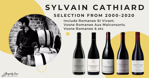 Sylvain Cathiard Selection from 2000-2020 ❤️