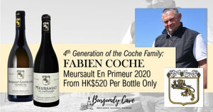 An Up-and-Coming Producer in Meursault: Fabien Coche