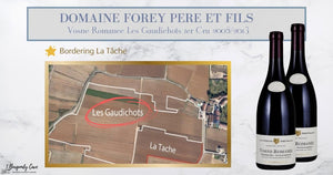 Just Arrived! Bordering La Tâche, Les Gaudichots 2008 & 2013 from Forey