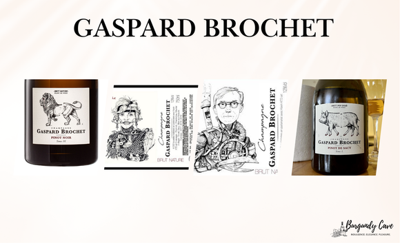 Gaspard Brochet New Additions Including Rare Lion Tome IV and Cochon Pinot De Sacy Tome II