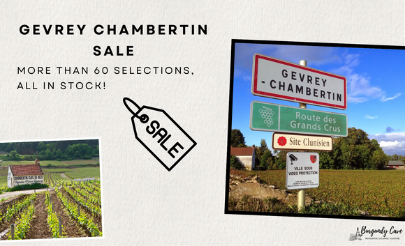 👑Gevrey-Chambertin SALE: Extra 3% Off, All in Stock