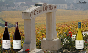 SALE! Domaine des Lambrays Clos des Lambrays, Morey St Denis & Puligny-Montrachet Les Folatieres