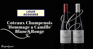 Still Champagne fm Louis Roederer: Coteaux Champenois 'Hommage a Camille' Whites & Red