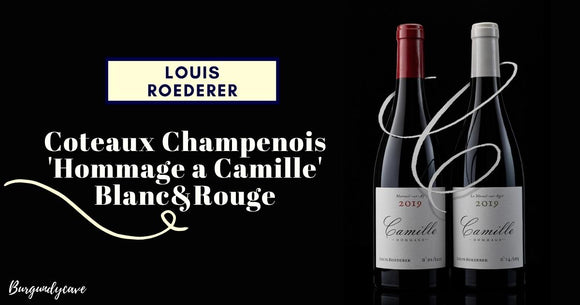 Still Champagne fm Louis Roederer: Coteaux Champenois 'Hommage a Camille' Whites & Red