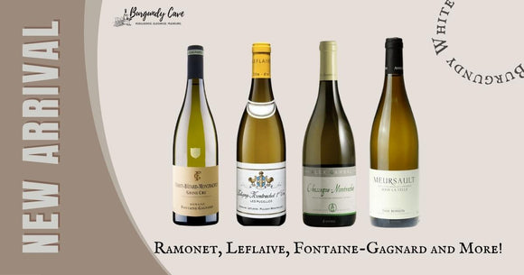 Burgundy Whites Arrival: Ramonet, Leflaive, Fontaine-Gagnard and More!