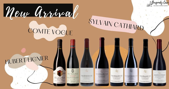 Just Arrived! Top Burgundy Reds from Sylvain Cathiard, Jean Grivot, Hubert Lignier and more