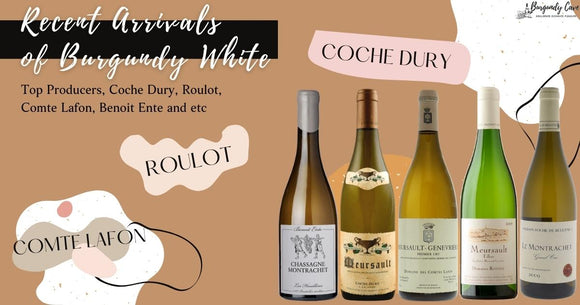 Our Recent Arrivals of Burgundy White: Top Producers, Coche Dury, Roulot, Comte Lafon, Benoit Ente and etc