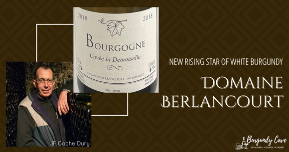 Rising Star of White Burgundy🌟Domaine Berlancourt