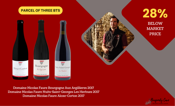 🌟Extremely Rare Parcel of Nicolas Faure, 28% Below Market