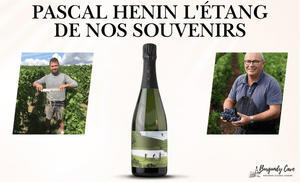 17% Below Market: Pascal & Romain Henin L'Étang de nos souvenirs