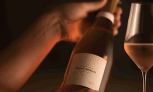 With 25% Pinot Blanc: Pierre Gerbais Grains de Celles, Immediately Available