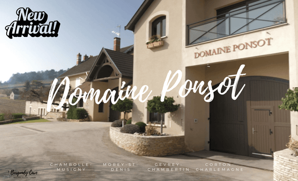 Domaine Ponsot Selection from Vintage 2000 to 2017