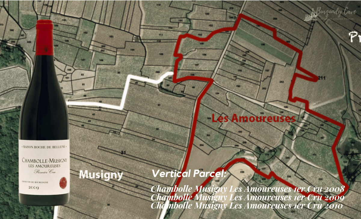 A Hedonistic Vertical Parcel of Chambolle Musigny Les Amoureuses
