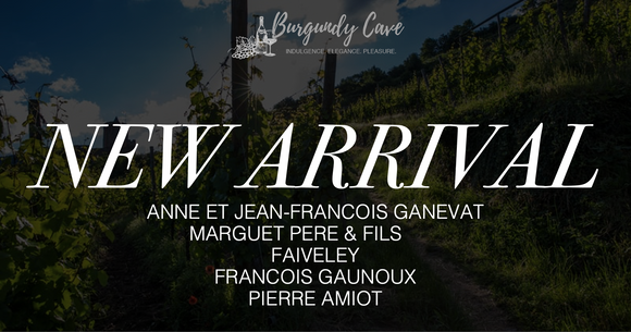 New Arrivals This Week: Over 30 Selections from Burgundy, Champagne and Jura