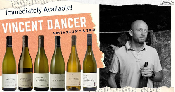 Immediately Available! In High Demand, Vincent Dancer from Vintage 2017 & 2018