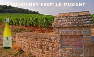 Now in Stock, Chardonnay from Le Musigny: Comte Georges de Vogue Vogue Blanc 2008 & 2009