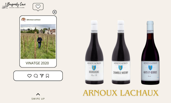 Latest Release: Vintage 2020 from Arnoux Lachaux and others