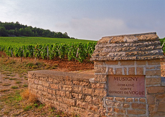Domaine Comte Georges de Vogüé: Village & 1er Cru from 2002 - 2009