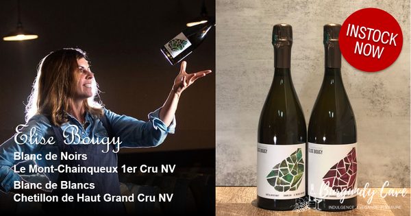 Arrived! Rising Star ELISE BOUGY: BdN Le Mont-Chainqueux 1er Cru Arrived! Rising Star ELISE BOUGY: BdN Le Mont-Chainqueux 1er Cru