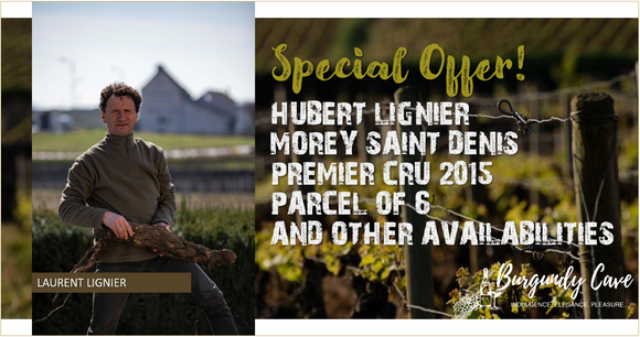 Don't Miss! Hubert Lignier Morey-St-Denis 2015 Parcel from 1er Cru & Other Lignier Selections
