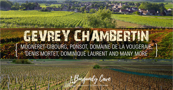 Our Latest Gevrey-Chambertin Selection from Village to Grand Crus, Starting fm HK$480/Bt