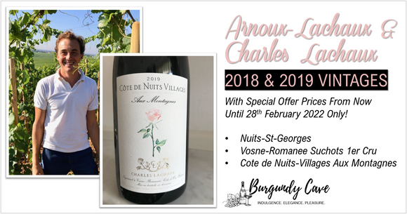 Newly Purchased 2018 & 2019 Arnoux-Lachaux & Other Availabilities