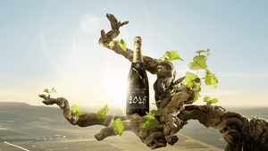 "Now at its peak" WA, From HK$465 per Bottle: Moët & Chandon Grand Vintage 2015