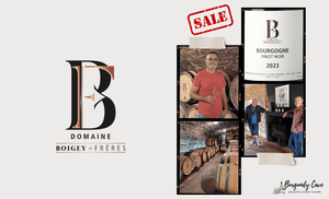 💗✨From Grapes in Vosne-Romanee, 2023 Boigey Freres Bourgogne Rouge