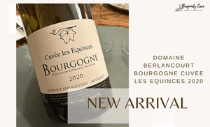 🌟 Just Arrived, A Rising Star: Domaine Berlancourt