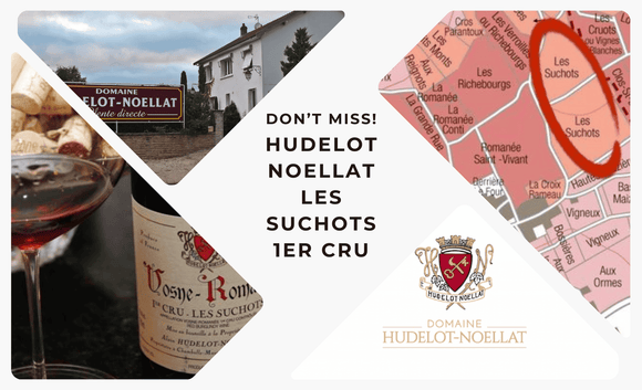 Don't Miss! 2012 & 2014 Hudelot Noellat Vosne-Romanee Les Suchots 1er Cru