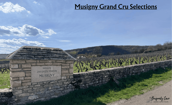 Musigny Grand Cru Selections including Tawse Musigny Grand Cru 2015