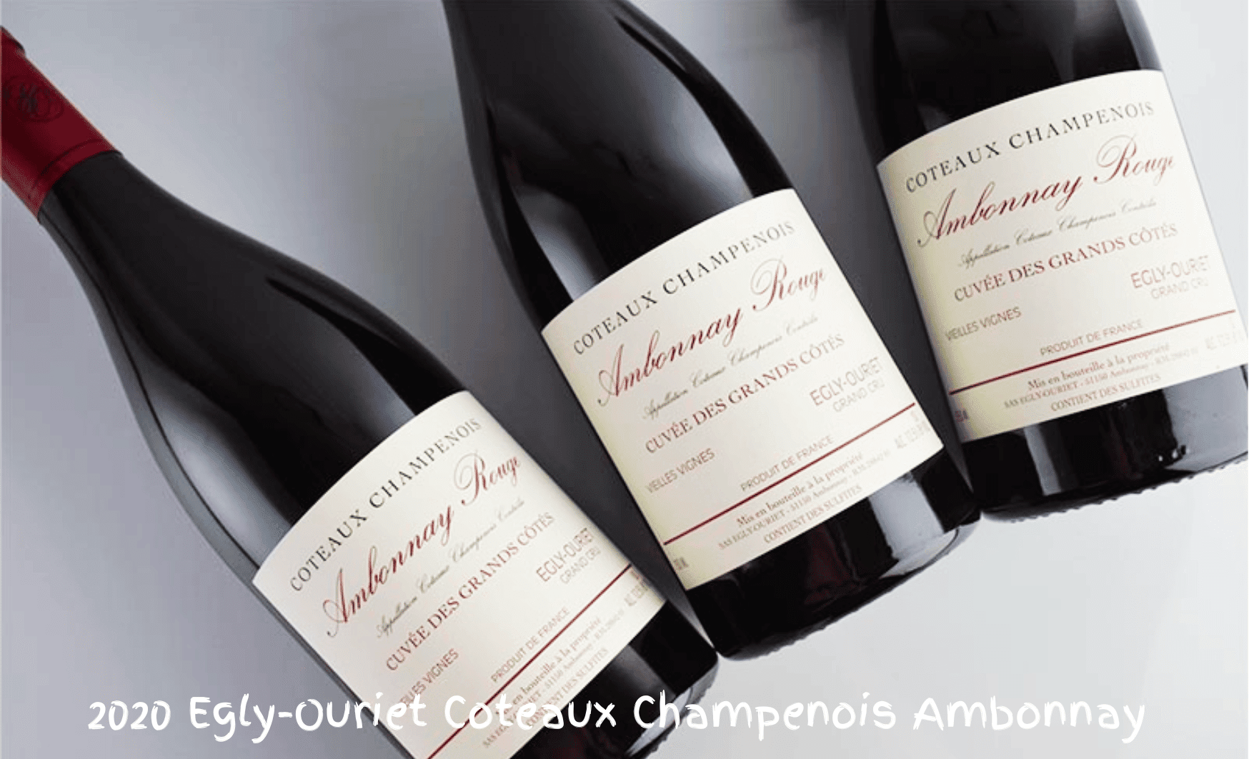EGLY-OURIET シャンパン 2020年 ヴィンテージ 750ml The Best Still Red Wine in Champagne: 2020 Egly-Ouriet Coteaux