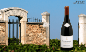 "In a word, excellent." Allen Meadows, Comte Armand Pommard Clos des Epeneaux 2018