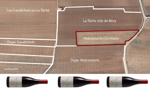 Sharp Price, Bordering La Tache: 2007 Montille Cuvee Christiane