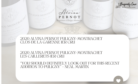 More Available! A Mature Parcel of Alvina Pernot Puligny-Montrachet