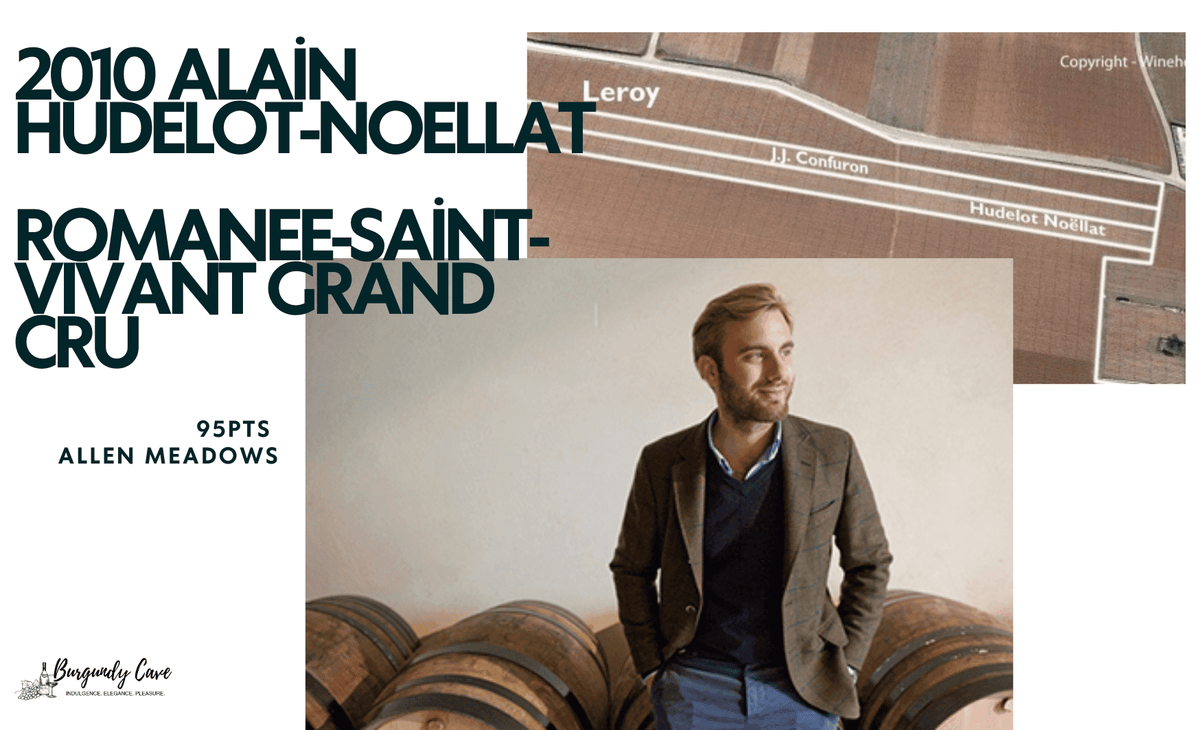 Just Arrived, Special Discount on 2010 Hudelot-Noellat Romanee 