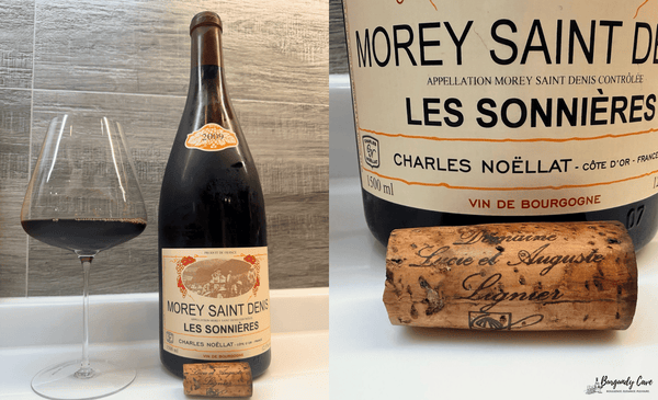Tasted & Recommended: Charles Noellat Magnums from 2009 & 2010
