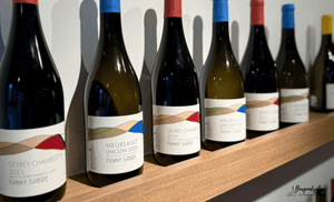 Restock: 2021 Domaine Fanny Sabre Gevrey-Chambertin