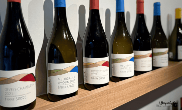 Restock: 2021 Domaine Fanny Sabre Gevrey-Chambertin