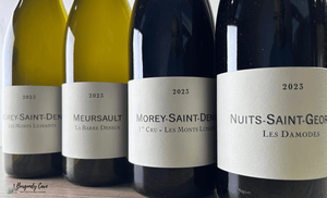 💥Stock SALE! Frederic Cossard 2023