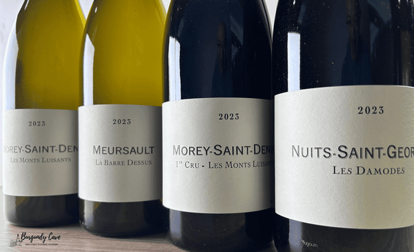 💥Stock SALE! Frederic Cossard 2023