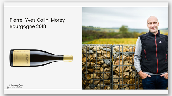 From Village Grapes, Pierre-Yves Colin-Morey Bourgogne 2018